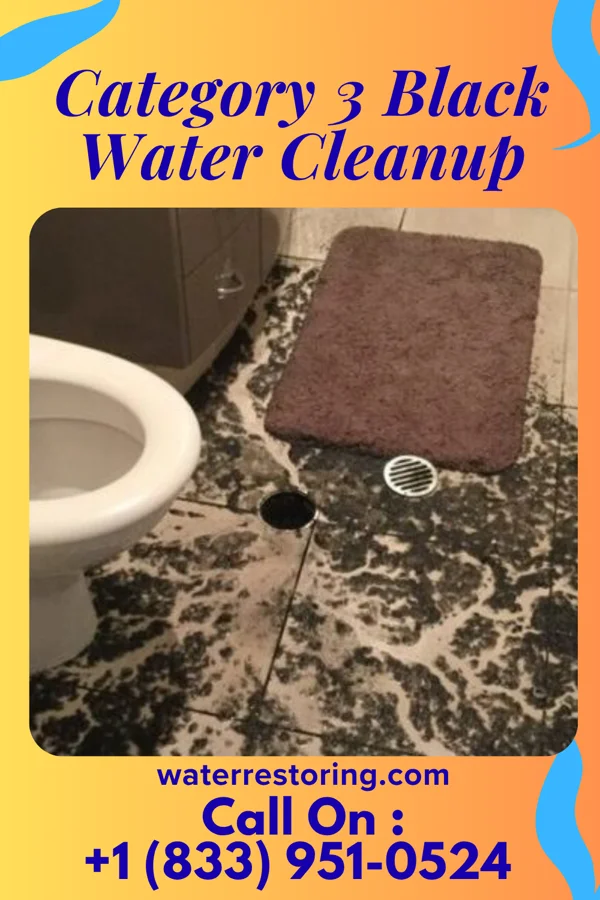 Category 3 Black Water Cleanup in Lorane, PA