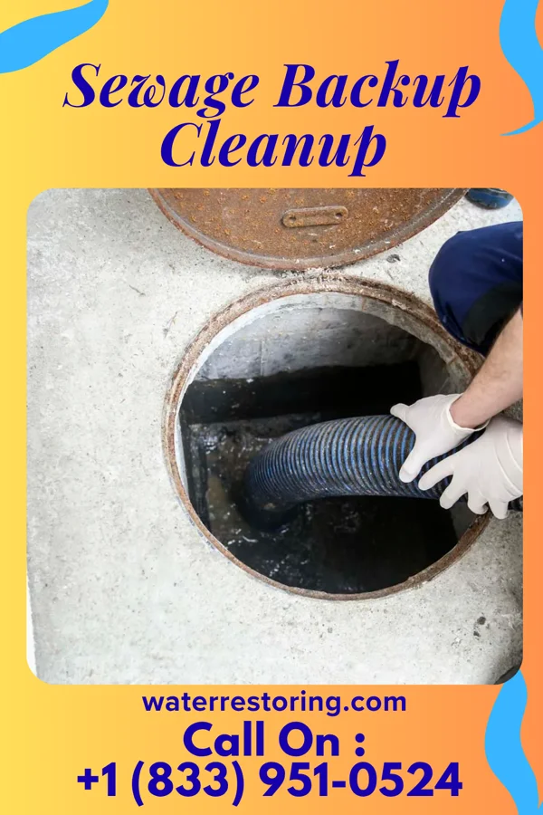 Sewage Backup Cleanup in Lorane, PA